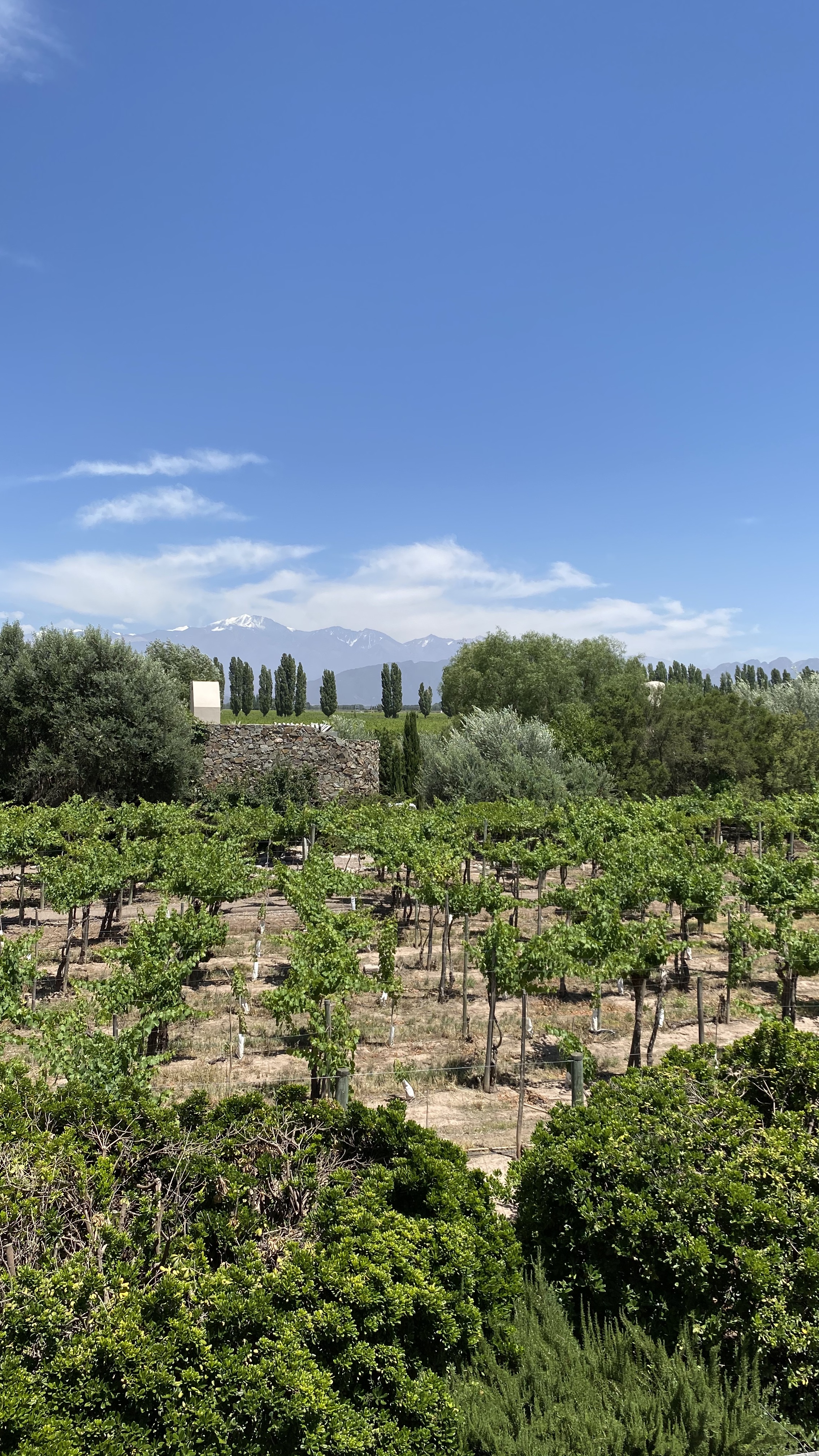 Private Flights to Mendoza